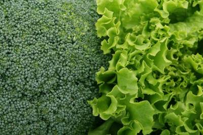 Brassicacee autunnali: strategie di nutrizione fogliare Fertben per rese e qualit&agrave; ottimali