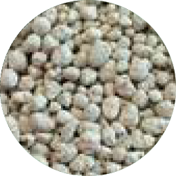 BIO-N-TEK 85 MAX    BTC