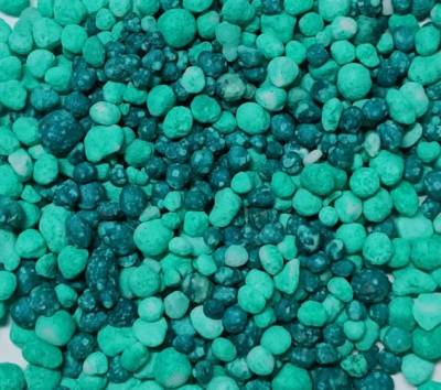 DOUBLE COMPLEX 29/6/8