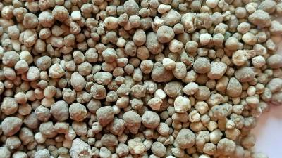 SUPER GRANO    NP 10/25