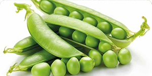 Fertilizzanti biologici