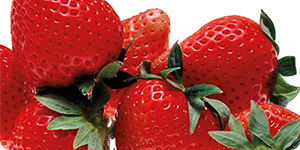 Fertilizzanti minerali