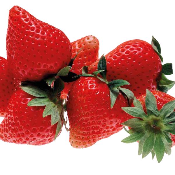 Fertilizzanti minerali