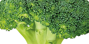 Fertilizzanti organo minerali