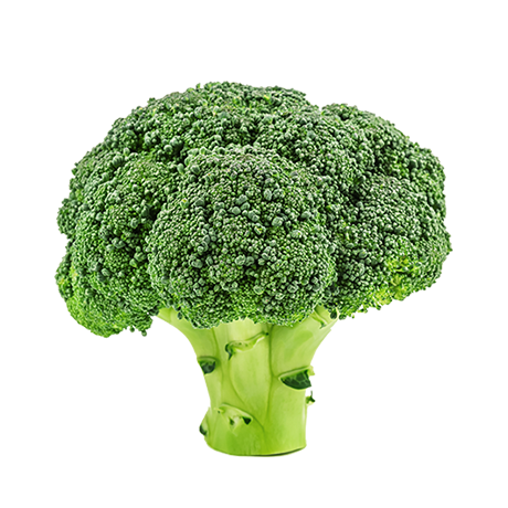 Fertilizzanti organo minerali