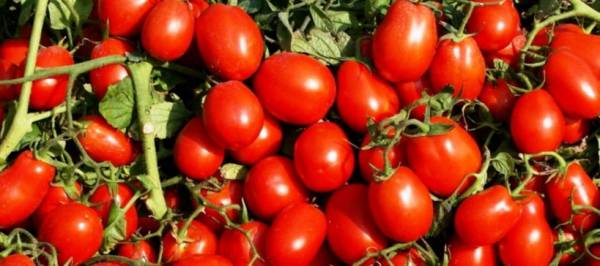 SUPER FIVE BLU 5/10/20