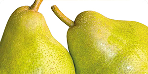 Fertilizzanti speciali