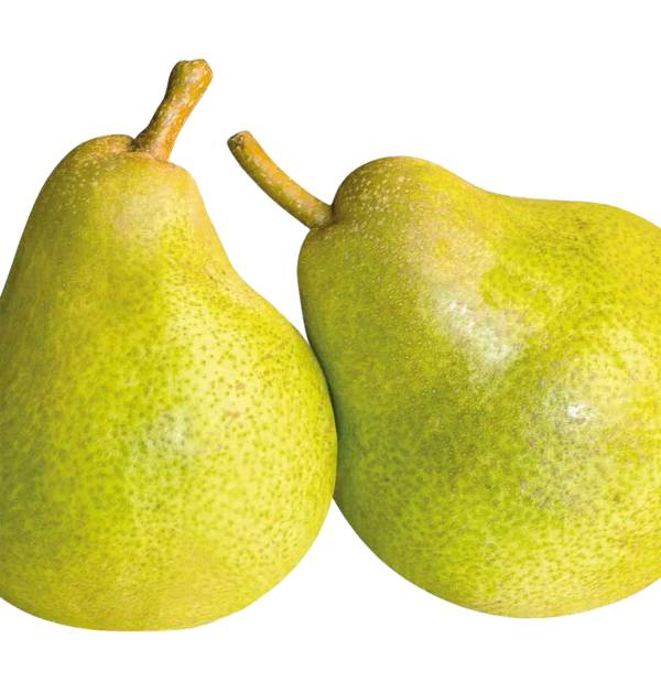 Fertilizzanti speciali