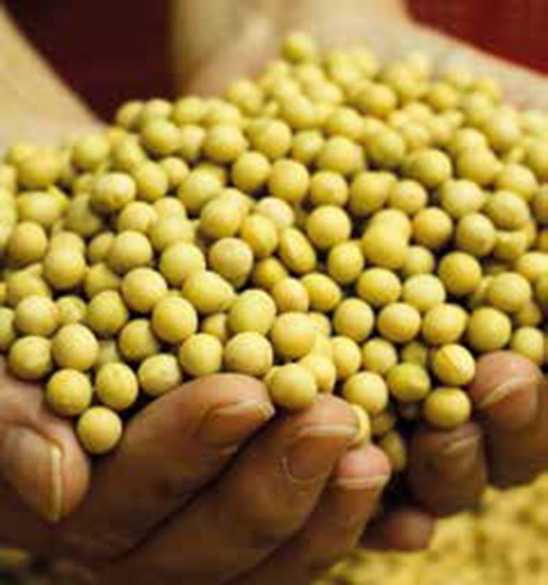 Rassegna internazionale  di AGRICOLTURA